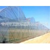 辛集钢管大棚,如皋大棚建设,青州市正航环保