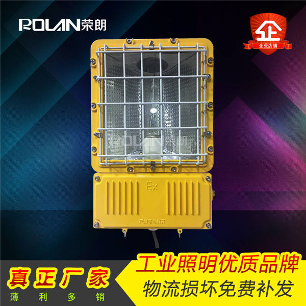 BTC6150防爆泛光灯