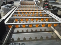 供应果蔬多功能气泡清洗机 圣女果海带清洗机 果蔬清洗消毒机