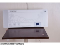 肯格王YKX/G-120壁挂式空气消毒机