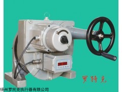 角行程電動執(zhí)行機構(gòu)SKJ-3100