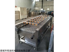 去皮清洗机_大姜喷淋清洗设备