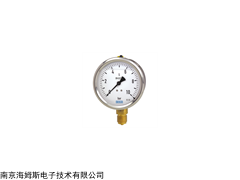 耐震壓力表213.53
