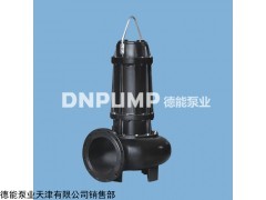 天津德能污水排污泵