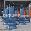 DN下吸式QZB潜水轴流泵