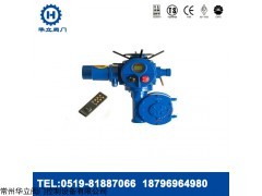 DQW部分回轉(zhuǎn)系列電動裝置