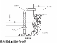 井筒彎管安裝潛水軸流泵
