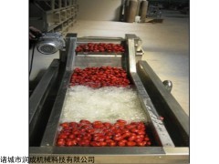 核桃毛刷清洗機(jī)，泥螺海蠣子清洗機(jī)廠家直銷中