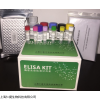 人集落刺激因子(CSF)ELISA检测试剂盒仅供科研实验