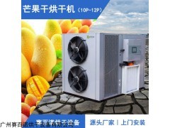 小型芒果烘干机
