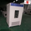 MJP-250智能霉菌培养箱厂家报价，智能霉菌培养箱规格