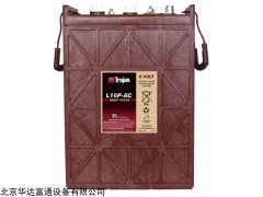 美国邱健蓄电池T系列包邮原装