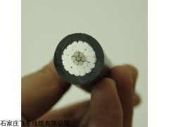 山西長(zhǎng)治生產(chǎn)廠家電纜架空線JKLGYJ-1K-95/15現(xiàn)貨