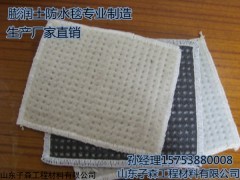 德兴膨润土防水毯-完善体系，深化管理，提高质量。