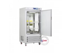 光照培养箱生产厂家