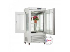 智能型光照培养箱