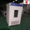 MJP-250智能霉菌培养箱多少钱，河北智能霉菌培养箱厂家