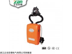 HYZ2隔式正压氧气呼吸器