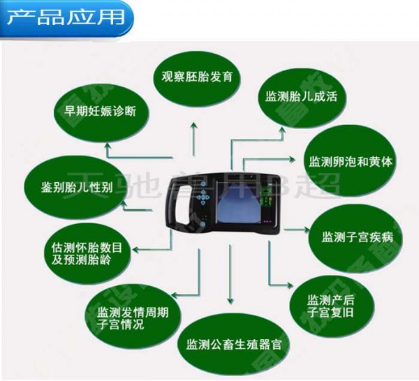 许昌动物B超品牌