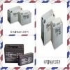 非凡蓄电池2SLA300/G性能/参数/代理