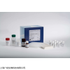 小鼠磷酸化细胞外信号调节激酶,小鼠ELISA(试剂盒)