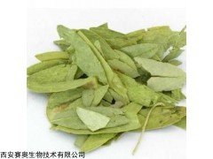 番泻叶提取物 10:1番泻叶提取粉