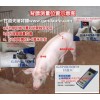 豬牛用背膘厚度測定儀哪家價格多少錢