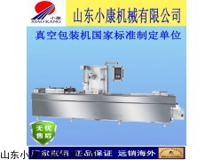 山东小康拉伸粽子真空包装机厂家直销DLZ-420
