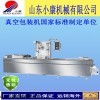 山東小康拉伸粽子真空包裝機廠家直銷DLZ-420