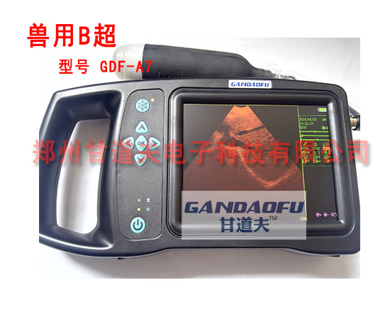 兽用b超