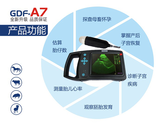 兽用b超