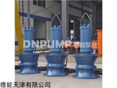 500WQ排污泵__下吸式_污水处理厂用泵