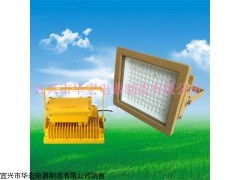 LED防爆投光灯投射灯 LED防爆路灯 LED防爆泛光灯价格