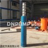 大流量耐高温型温泉泵选型