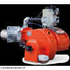 SIEMENS西门子火焰探测器QRA55.C27