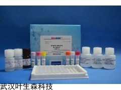 細(xì)菌基因組DNA提取試劑盒