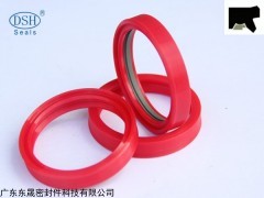 广东东晟密封件异型同轴密封件DTDI生产厂家