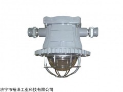 DGS18/127L 隔爆型LED巷道灯 （圆形）