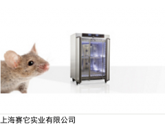 上海带光照恒温恒湿箱多少钱一台