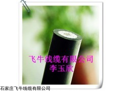 湖北咸寧市廠家直銷架空線JKLYJ-1KV-70國(guó)標(biāo)現(xiàn)貨