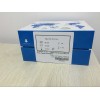 糖原合成酶（GCS）测试盒