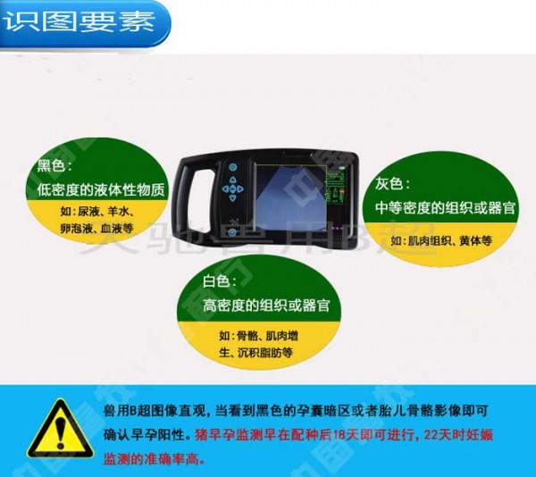天驰明港兽用B超厂家直销 性价比高 天驰明港兽用B超厂家直销 性价比高