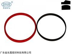 廣東斯特封密封件重載反斯特封DMKES斯特封