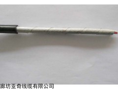 HSYY22-50*2*0.5铠装大对数电缆厂家现货供应
