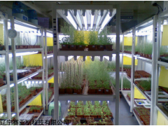 SYS-PRS型智能人工气候室