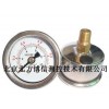 不锈钢耐震压力表/轴向