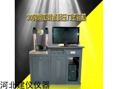 BC-300D 全自動電腦恒應(yīng)力壓力試驗機