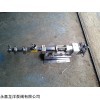G20-2 浙江GF整体不锈钢螺杆泵