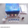 48T/96T   人肾上腺素(EPI)ELISA试剂盒价格