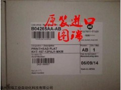 KHT-107-12PAJ1-MKM KHT-107-12PAJ1-MKM  打印頭